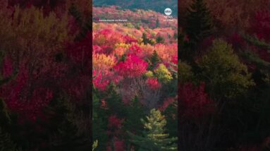 Vivid fall foliage on display in New Hampshire