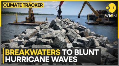 New York Constructs New 'Breakwaters' | WION Climate Tracker | World News | WION