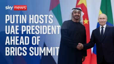 Watch live: Putin hosts UAE president ahead of BRICS summit