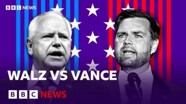 Who won the US vice-presidential debate? | BBC News