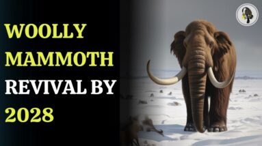 Woolly Mammoth Revival By 2028 | WION Podcast