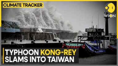 Typhoon Kong-Rey: One-Day Holiday Declared On Thursday | WION Climate Tracker | World News