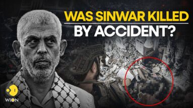 Yahya Sinwar Was Killed By Accident? IDF Reveals The Real Story | WATCH LIVE