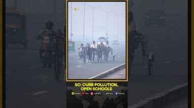 Delhi Pollution: Supreme Court Orders CAQM To Consider Restarting Physical Classes | WION Shorts