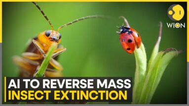 Saving The Planet's Smallest Inhabitants | Can AI Prevent Earth's Sixth Mass Extinction? | WION