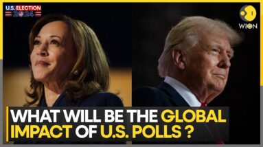 US Elections 2024: How Will The US Presidential Polls Impact Foreign Polices ? | World News | WION