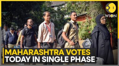 Maharashtra Election 2024: Maharashtra Votes Today In Single Phase | Maharashtra Assembly Polls