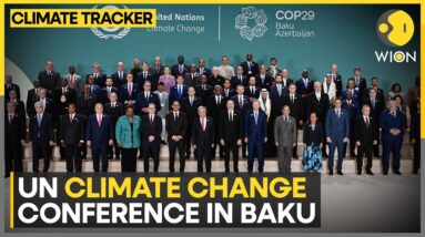 COP29: UN Climate Change Conference In Baku | World News | WION Climate Tracker