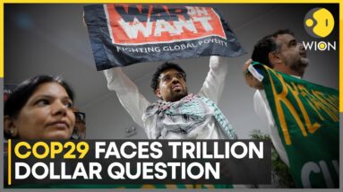 COP29 Climate Finance Talks: Demonstrators Chant 'Trillion, Not Billions', Call For Financing | WION