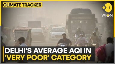 Delhi Air Pollution: Indian Capital Grapples With Air Pollution | WION Climate Tracker | World News