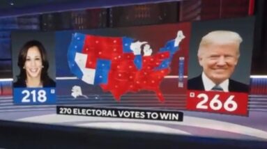 Breaking down key demographic groups in 2024 presidential election