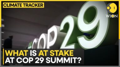 Can COP29 Provide Solution To Climate Change? | WION Climate Tracker