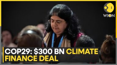 Cop29: India Rejects New $300 Bn Climate Finance Deal | World News