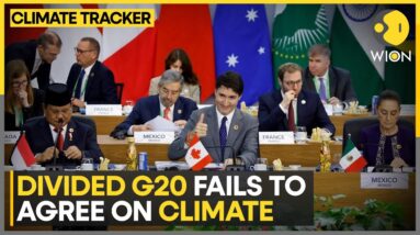 Divided G20 Fails To Agree On Climate | WION Climate Tracker | World News | WION