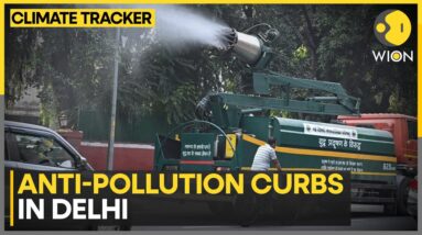 Delhi Pollution: GRAP III Curbs Amid ‘Severe’ AQI | WION Climate Tracker