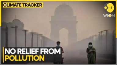 Delhi's Air Quality Worsens After Brief Respite | WION Climate Tracker