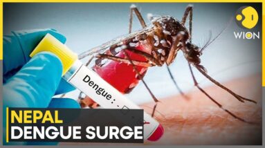 Dengue Outbreak in Nepal: Over 28,000 Infected This Year | World News | WION