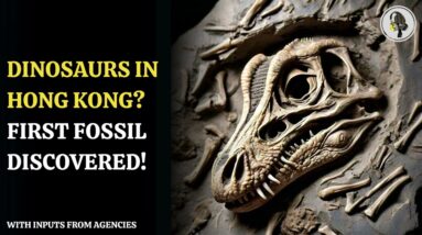 Dinosaurs In Hong Kong  First Fossil Discovered! | WION Podcast