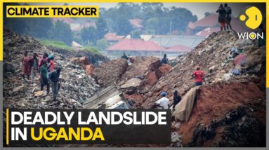 Uganda Landslide: 15 Dead, 100 Missing As Landslide Devastates Eastern Uganda | WION