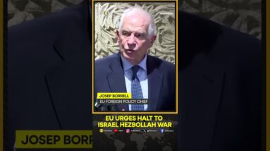 European Union’s Borrell Urges Pressure on Israel, Hezbollah to Accept US Ceasefire Proposal