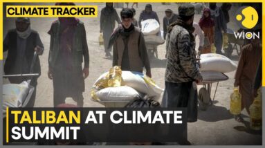 Afghanistan Struggles With Climate Change, Government To Attend COP29 | Wion Climate Tracker