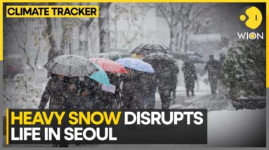 South Korea: Heaviest Snowfall In Seoul Since Records Began In 1907 | WION Climate Tracker