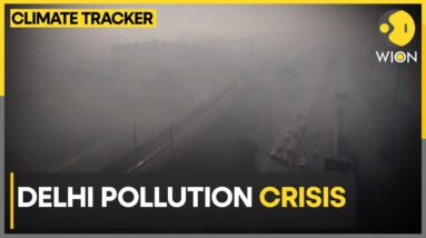 Delhi: Odd-even Rule To Make Comeback? | Delhi Pollution Crisis | WION Climate Tracker