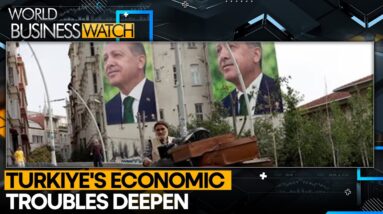 Turkiye Faces Recession As Growth Stalls | Turkey News | World Business Watch | WION