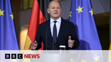 Germany's coalition collapses after chancellor fires minister | BBC News