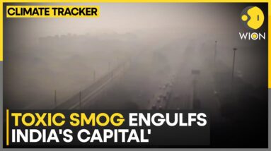 Delhi: Toxic Smog Engulfs India's Capital; Delhi AQI Drops To 'Very Poor' | WION Climate Tracker