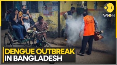 Bangladesh Dengue Outbreak: 10 Died, 999 Hospitalised in 24 Hours | World News | WION