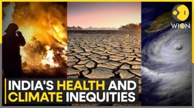 Health Risk From Excessive Heat In India | World News | WION