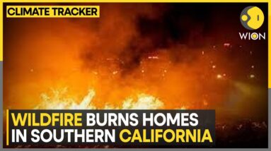 Helicopters Fight Wildfire Raging In Malibu | WION Climate Tracker