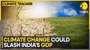 India’s ‘Cloudy’ GDP Forecast | WION Climate Tracker | World News | WION