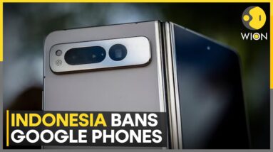 Indonesia Bans Sales Of Google Pixel Phones | World News | WION