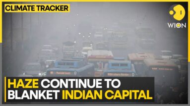 Delhi Air Quality Worsens After Brief Despite | World News | WION Climate Tracker