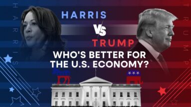 Is Donald Trump or Kamala Harris Better for the Economy? | WION Wideangle