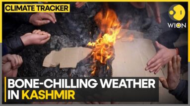 Kashmir & Ladakh Gripped By Severe Cold Wave | World News | WION