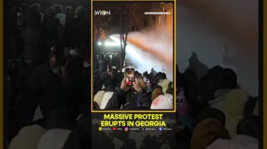 Georgia Police Use Water Cannon On Protesters After PM Delays EU Bid | WION Shorts