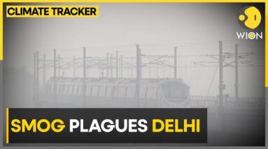 Delhi Air ‘Severe Plus’: Ban On Construction And Demolition In India's National Capital | WION