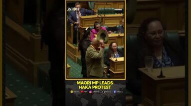 Maori MP Leads Haka Protest, Jolts New Zealand Parliament | WION Shorts