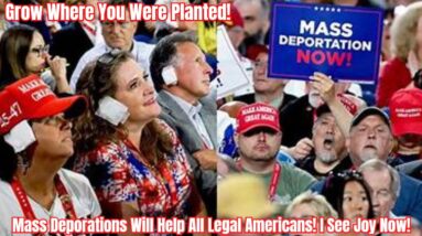 Mass Deporations Will Help All Legal Americans! I See Joy Now!