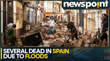 Spain Floods: Citizens Protest Against Government | WION Newspoint | World News