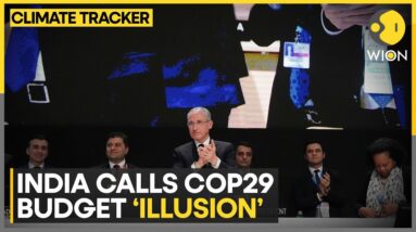 COP29: Climate Finance Raised To $300 Billion, India Calls It 'Illusion' | WION Climate Tracker