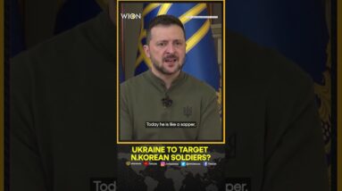 Russia Ukraine War: Zelensky Blasts Allies For 'Zero' Response To N.Korea Deployment | WION Shorts