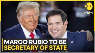 US: Trump Names Marco Rubio as Secretary of State in New Cabinet, Who Is He? | World News | WION