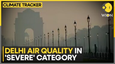 Smog Shrouds Delhi-NCR, Air Quality 'Severe' | WION Climate Tracker | World News | WION