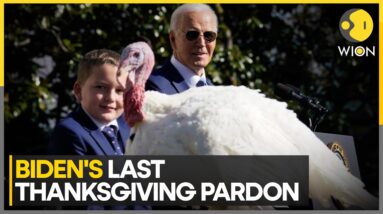 Biden’s Final Turkey Pardon: Peach and Blossom fBecome the Latest "Free Birds" Of the USA | WION