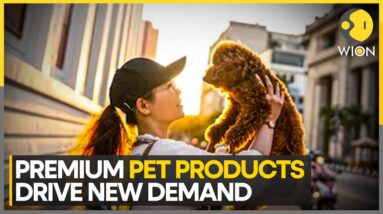 Pet Industry Shifts Towards Quality Over Quantity | World News | WION