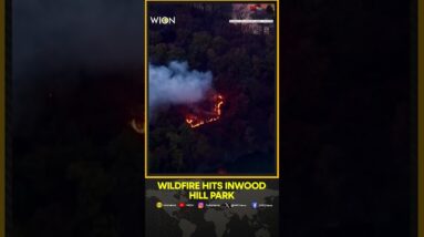 Multiple Brush Fires Break Out At Inwood Hill Park In Manhattan | WION Shorts